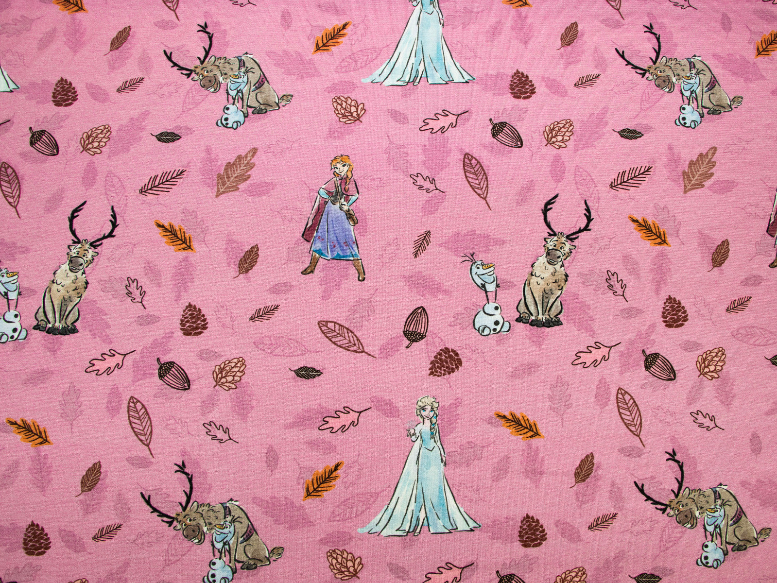 Jersey Digitaldruck Frozen - Elsa - helles mauve