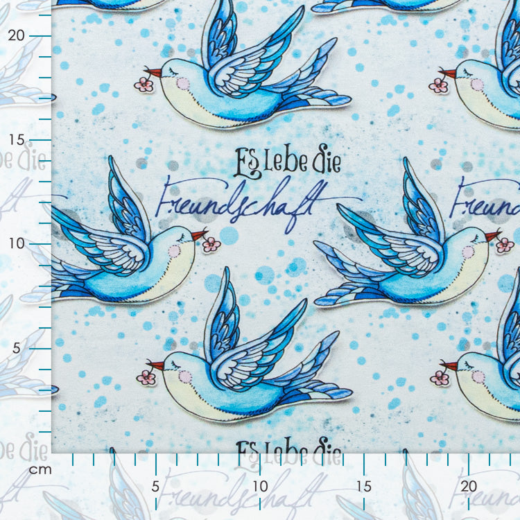 Jersey Eigenproduktion KaZuMi KDS -  Es lebe die Freundschaft - wollweiß