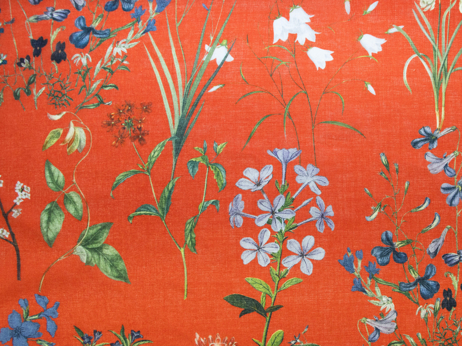 Webware Baumwolle Batist - verschiedene Blümchen - rotorange