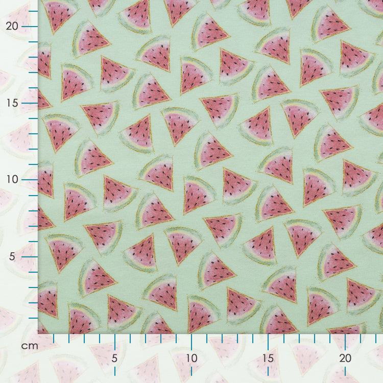 Jersey Digitaldruck - Melonen - mint