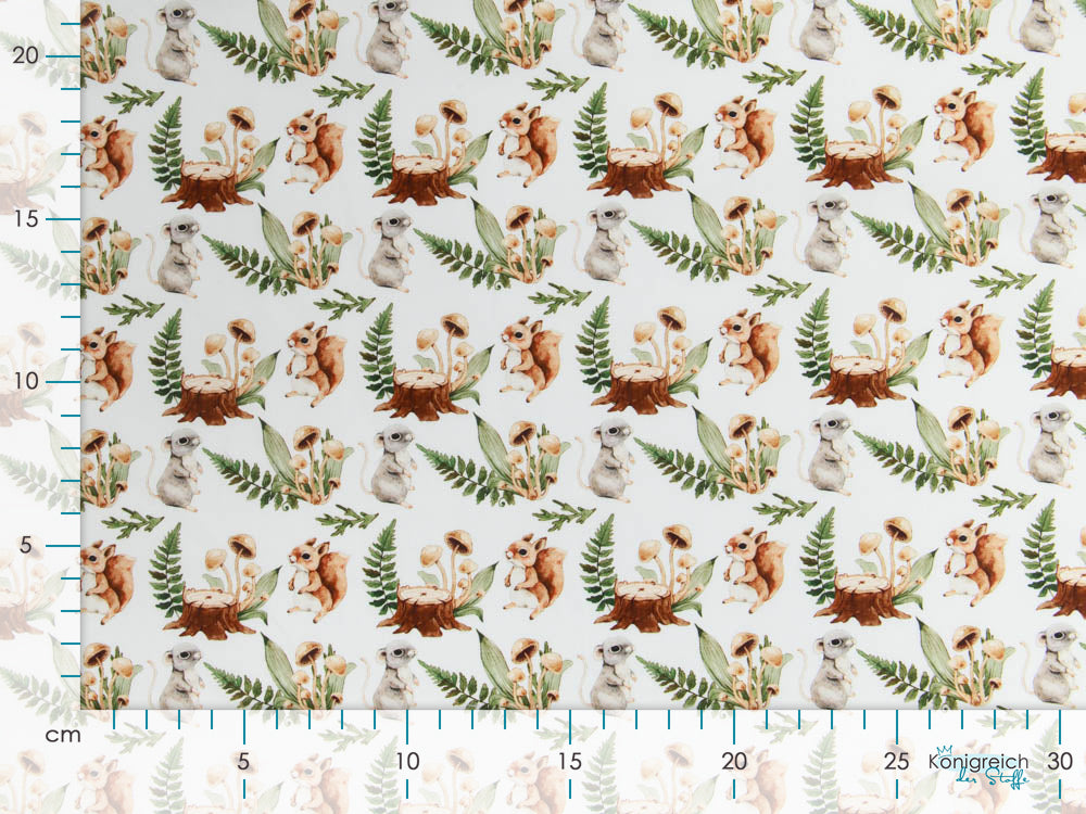 Webware Baumwolle Popeline Digitaldruck Mix Blaze Snoozy - Eichhörnchen und Pilze - weiß