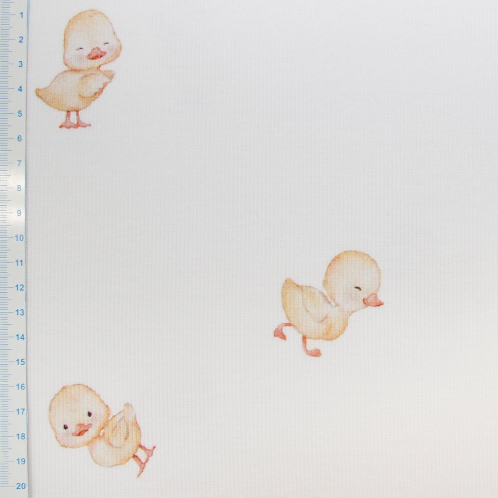 🐥Ripp-Jersey Stoff Digitaldruck - kleine Enten- wollweiß
