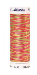 Stickgarn Poly Sheen Multi 40 by Amann Mettler 200 m