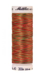 Stickgarn Poly Sheen Multi 40 by Amann Mettler 200 m