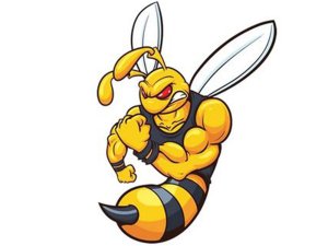 Transfer-Applikation zum Aufbügeln ca. 19,0 cm  x 26,0 cm - große starke Biene