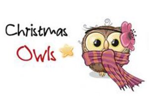 Transfer-Applikation Christmas Owls zum Aufbügeln - ca. 13,0 cm x 6,5 cm - Eule mit Schal
