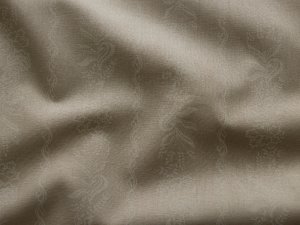 Webware Baumwolle Renforcé mercerisiert für Trachten - blumige Ranken - beige