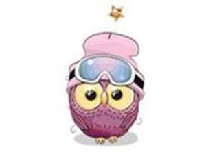 Transfer-Applikation Christmas Owls zum Aufbügeln - ca. 8,0 cm x 6,5 cm - Eule mit Skibrille