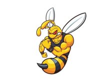 Transfer-Applikation zum Aufbügeln ca. 7,0 cm  x 10,0 cm - kleine starke Biene