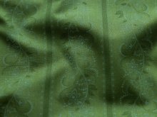 Webware Baumwolle Renforcé mercerisiert für Trachten - Blumenranken - grasgrün