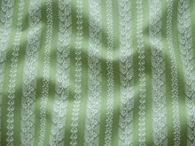 Webware Baumwolle Renforcé mercerisiert für Trachten - florale Streifen - dunkleres blassgrün