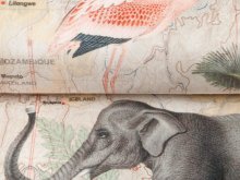 Velvet Digitaldruck Afrikastyle - anmutige Elefanten - beige
