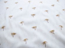 Jersey Feinstrick Pointoille - Gänseblümchen - weiß