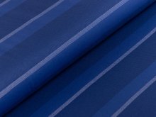 Single Jersey Sanetta - gepunktete Streifen - blau