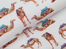 Jersey Digitaldruck - Kamele - wollweiß