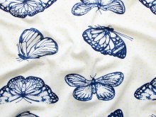 Jersey Baumwolle - Schmetterlinge - wollweiß - blau
