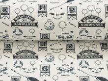 Webware Baumwolle Popeline Digitaldruck Harry Potter - Quidditch Hagwarts - weiß