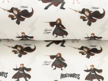 Webware Baumwolle Popeline Digitaldruck Harry Potter - Harry und Dobby - wollweiß