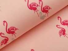 Jersey mit Glitzer by Mies&Moos Polly - Flamingos - lachs
