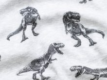 Alpenfleece Melange - schaurige Dinos - meliert grau