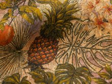Kork Coupon 50 cm x 65 cm - botanischer Garten 