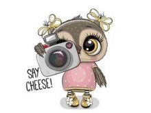 Transfer-Applikation Say Cheese! Owls zum Aufbügeln ca. 7,5 cm x 6,0 cm - fotografierente Eule
