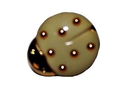 Sharplace 100 St/ück Pinguin Holzkn/öpfe Dekokn/öpfe Kn/öpfe Kinderkn/öpfe Knopfmischung Knopfset f/ür Kinder