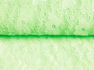 Elastische Spitze leicht glänzend - Blumenranken - uni lime