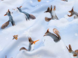 Jersey Swafing Sansa - putzige Eichhörnchen und Eiskristalle - pastellblau