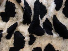 Fellimitat Fleece - Animalprint - beige - schwarz