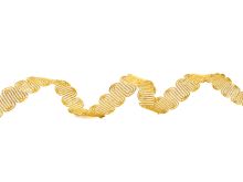 Leonische Borte ca. 14 mm - uni gold