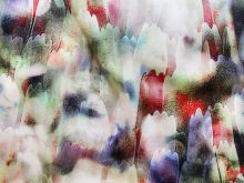 Nahaufnahme von Velours Digitaldruck - Tulpen - weiß - grün 