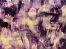 Nahaufnahme von Velours Digitaldruck - Tulpen - lila