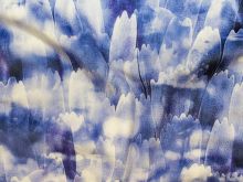 Nahaufnahme von Velours Digitaldruck - Tulpen - blau