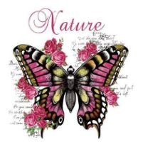 Transfer-Applikation zum Aufbügeln ca. 21,0 cm x 22,8 cm - Nature Schmetterling