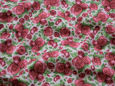 Jersey Swafing Lelu Fleur by lycklig design - Rosenblüten - grau-rosa