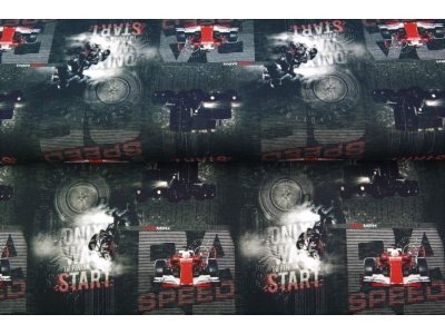  French Terry Digitaldruck Stenzo - Speed, Start und Faster Rennstrecke - anthrazit