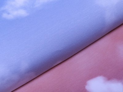 Sweat French Terry Swafing PANEL ca. 65 cm x 150 cm Cloudy Sky by lycklig design - Wolken am Himmel - hellblau