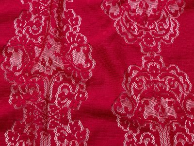 Hochwertige elastische Spitze - blumiges Rankenmuster - fuchsia