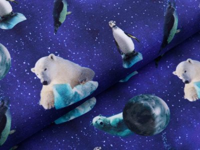 Sweat French Terry Digitaldruck Stenzo - Eisbären und Pinguine - blau