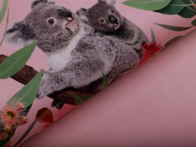 Jersey Digitaldruck Stenzo PANEL ca. 100 cm x 150 cm -  Koalabären - rosa