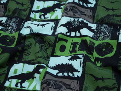 Leicht angerauter Sweat Swafing Basel - verschiedene Dinos - schwarz-grün