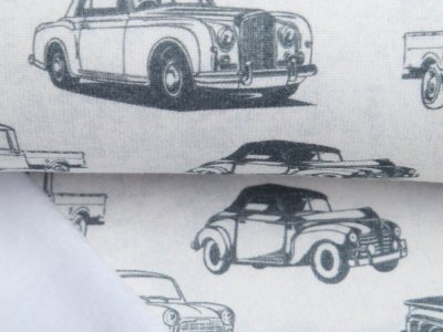 Alpenfleece Digitaldruck - coole Autos - schraffiert wollweiß