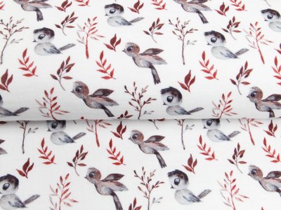 Musselin Double Gauze Digitaldruck Mix Reed Snoozy - putzige Vögel und Zweige - weiß
