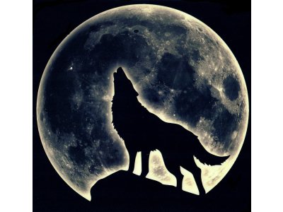 Transfer-Applikation zum Aufbügeln ca. 22,0 cm x 22,0 cm - Moon-Wolf