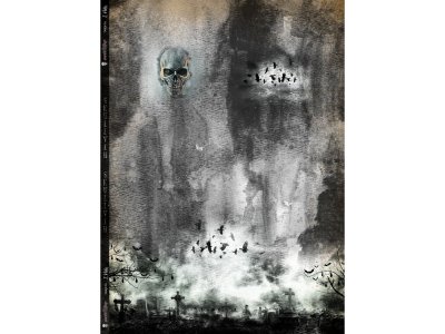 Sweat French Terry PANEL ca. 205 cm x 150 cm Digitaldruck Skullven by VerNÄHbar - Skull auf mystischem Hintergrund - grau