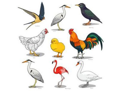 Transfer-Applikation zum Aufbügeln ca. 20,0 cm x 20,0 cm - tierische Begleiter